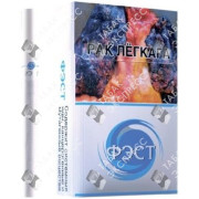 Фэст 7